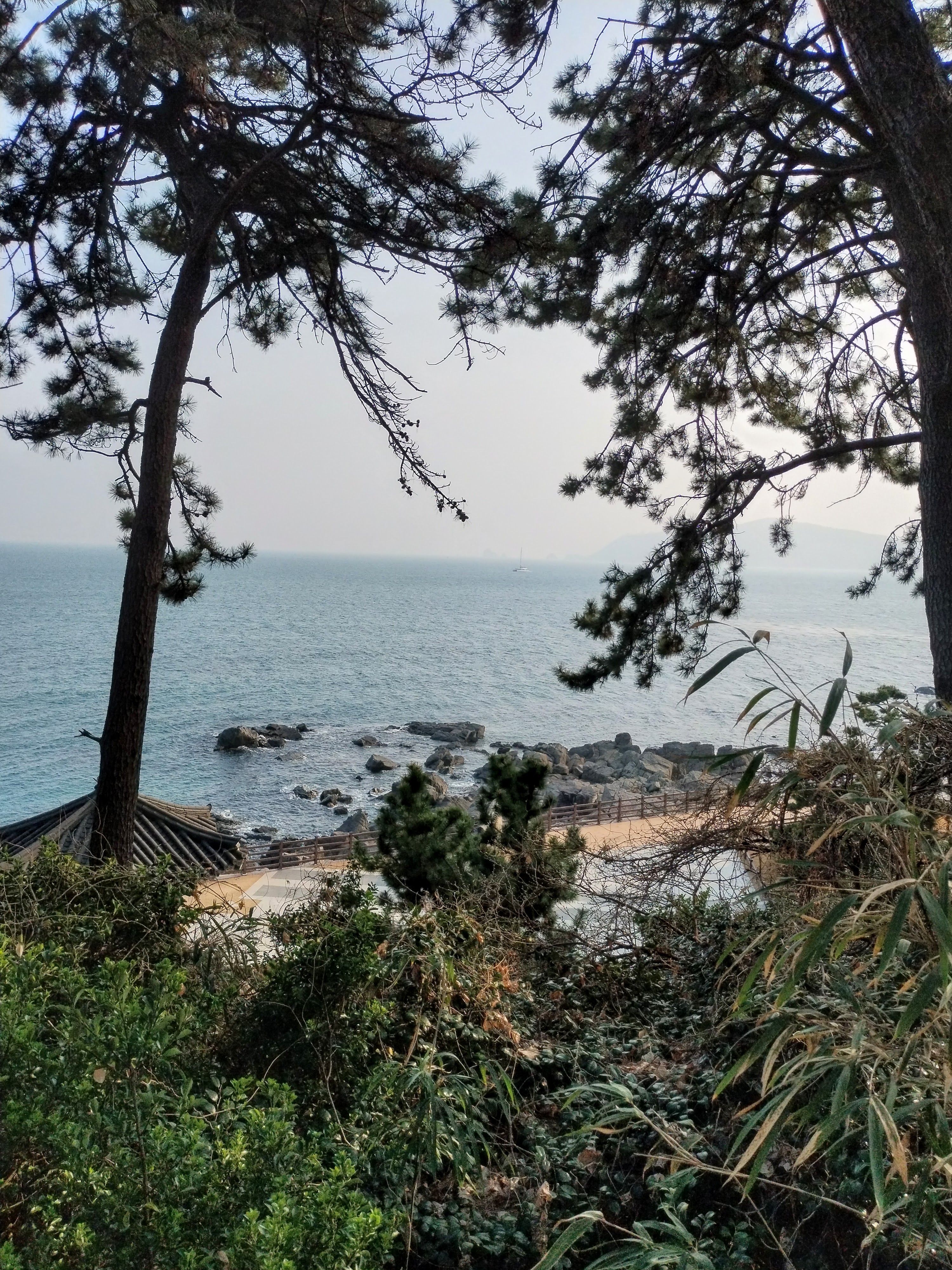 Coastal Escape